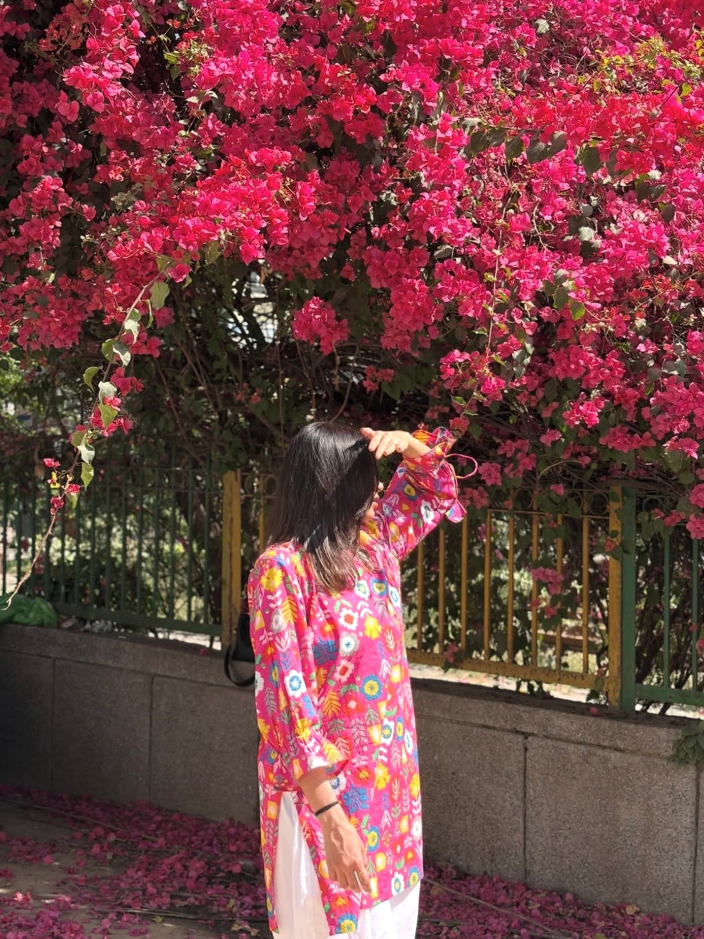 Bulbul Set